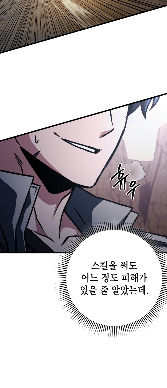 48 페이지