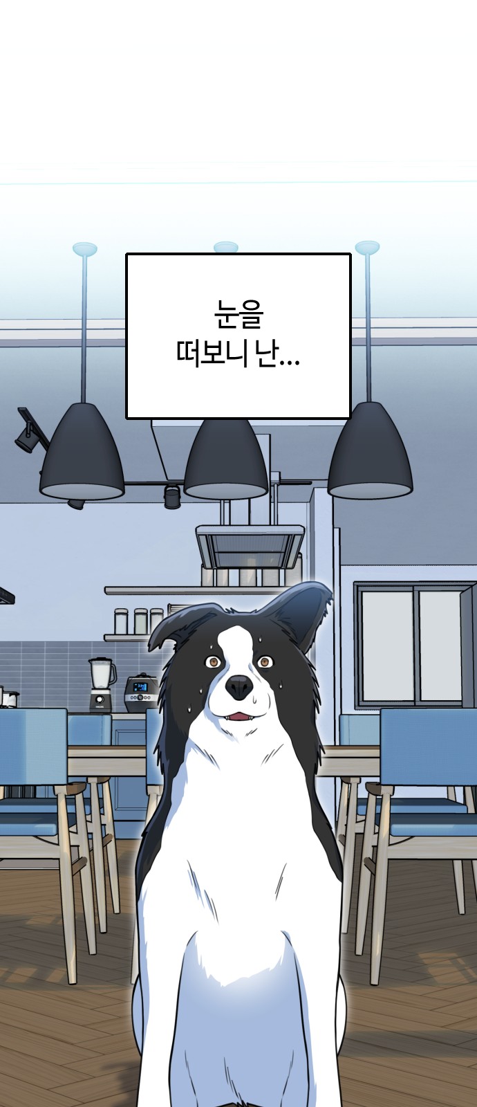 41 페이지