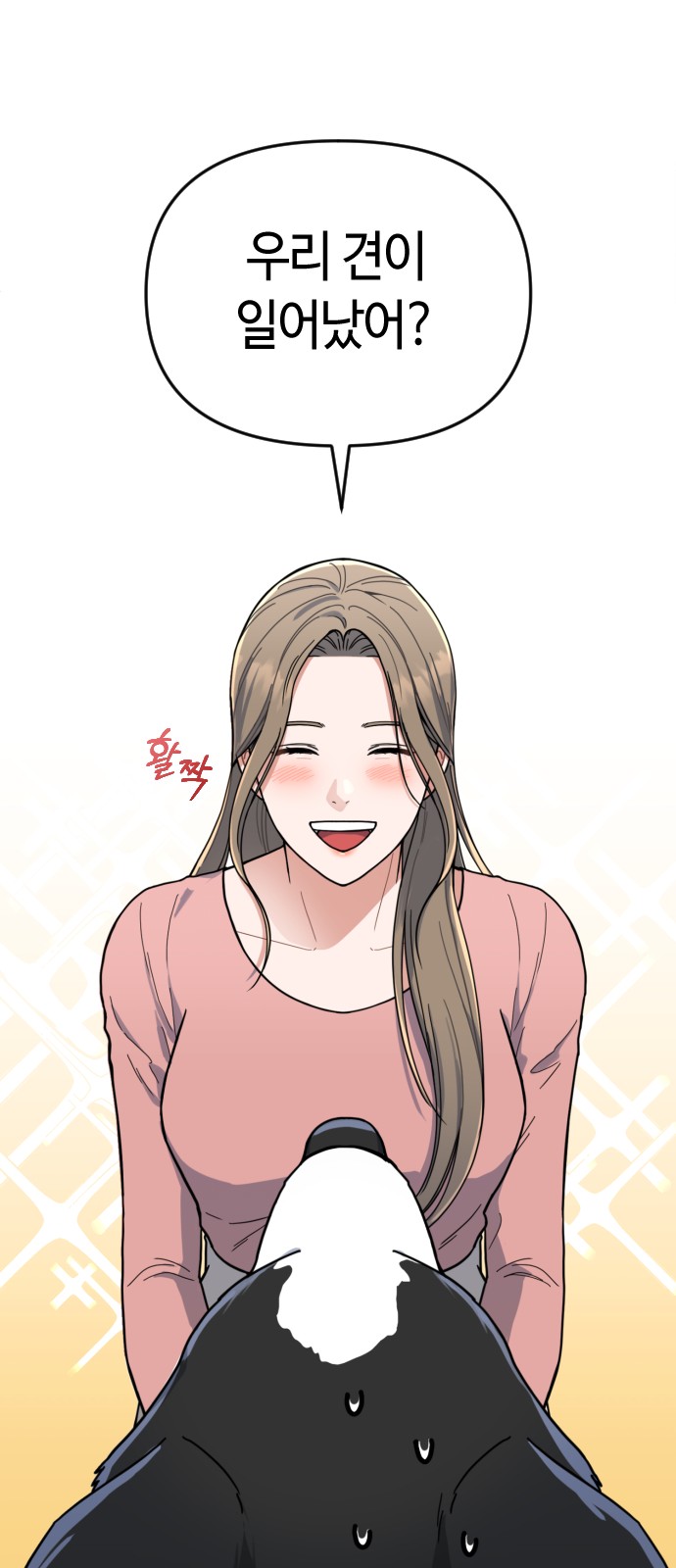 44 페이지