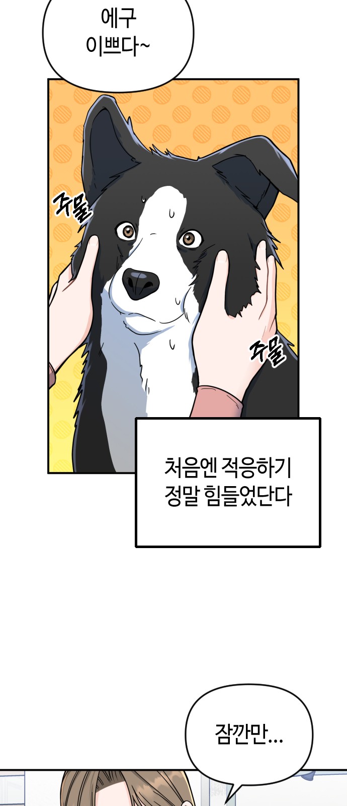47 페이지