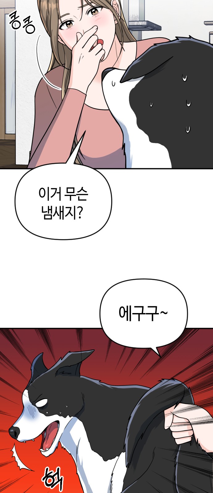 48 페이지