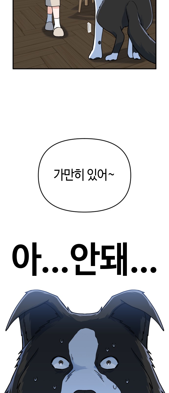 50 페이지