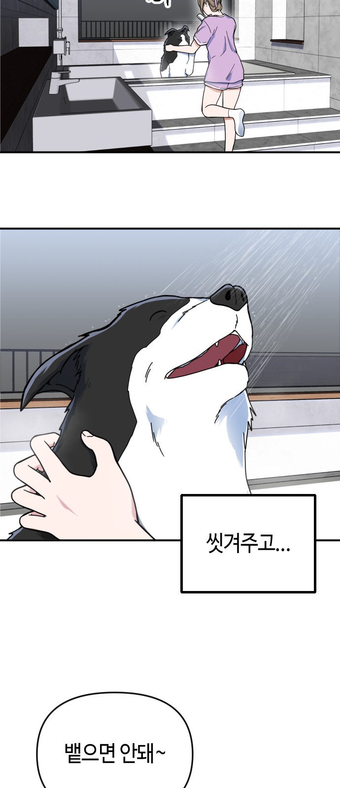 56 페이지