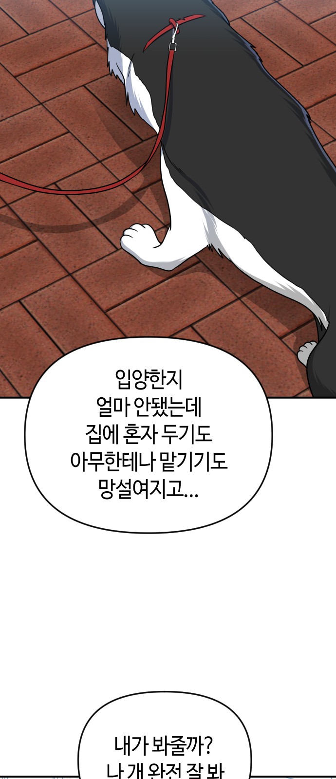 72 페이지