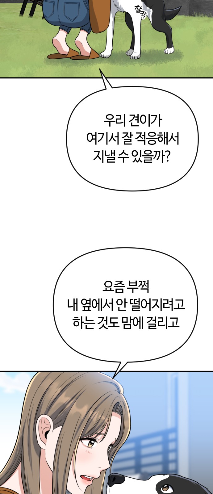 31 페이지