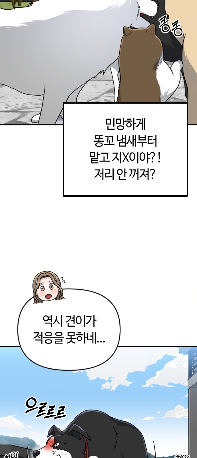 5 페이지