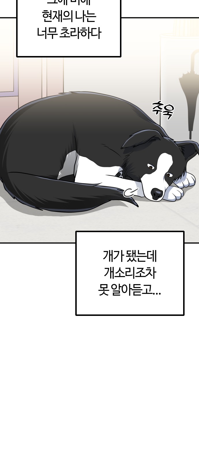 37 페이지