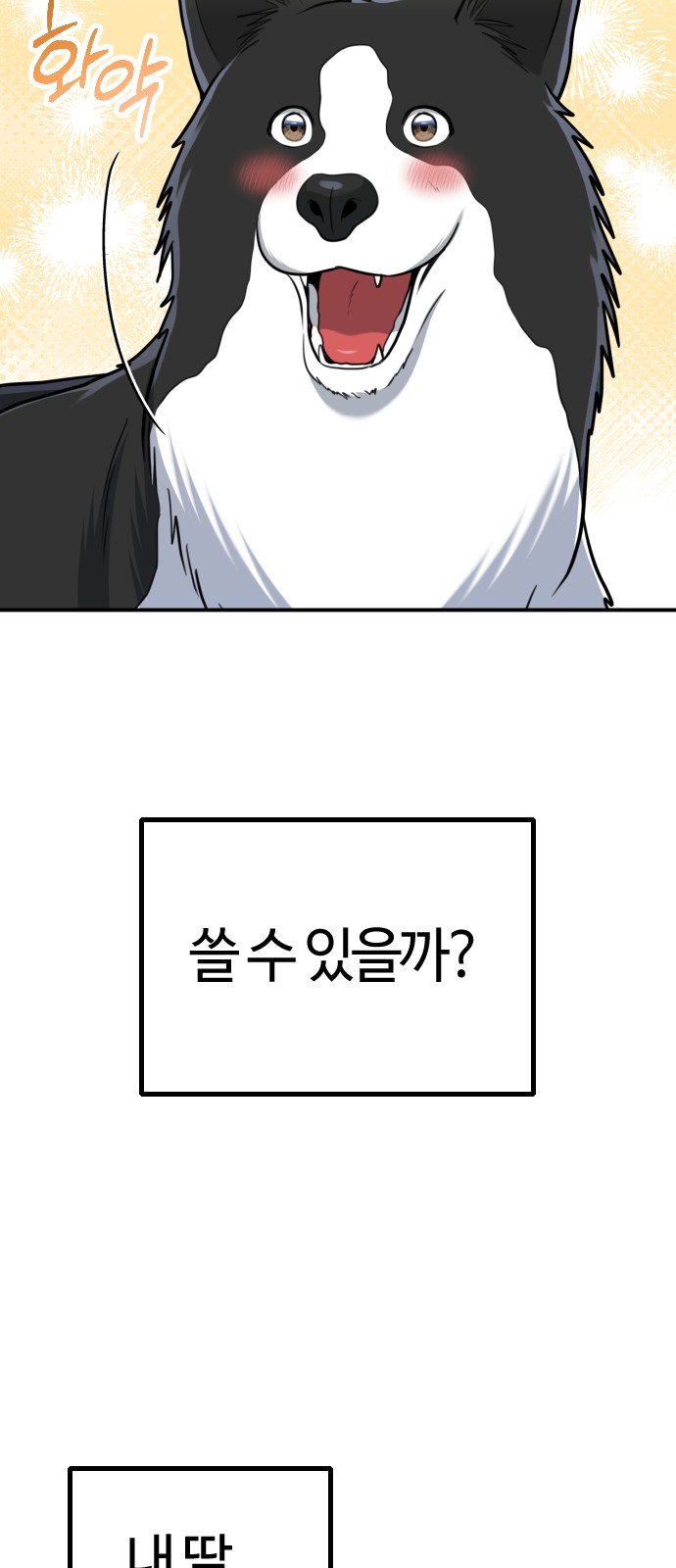41 페이지