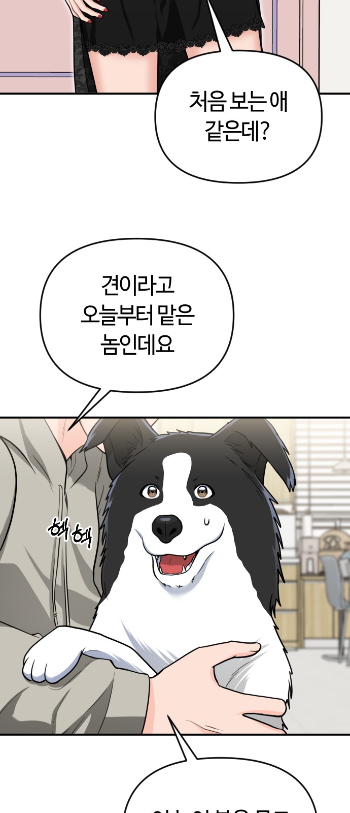 52 페이지