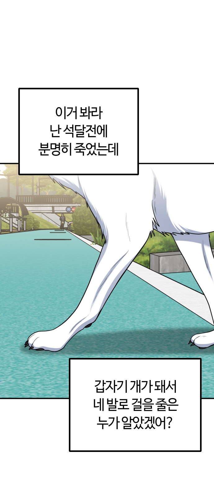 53 페이지