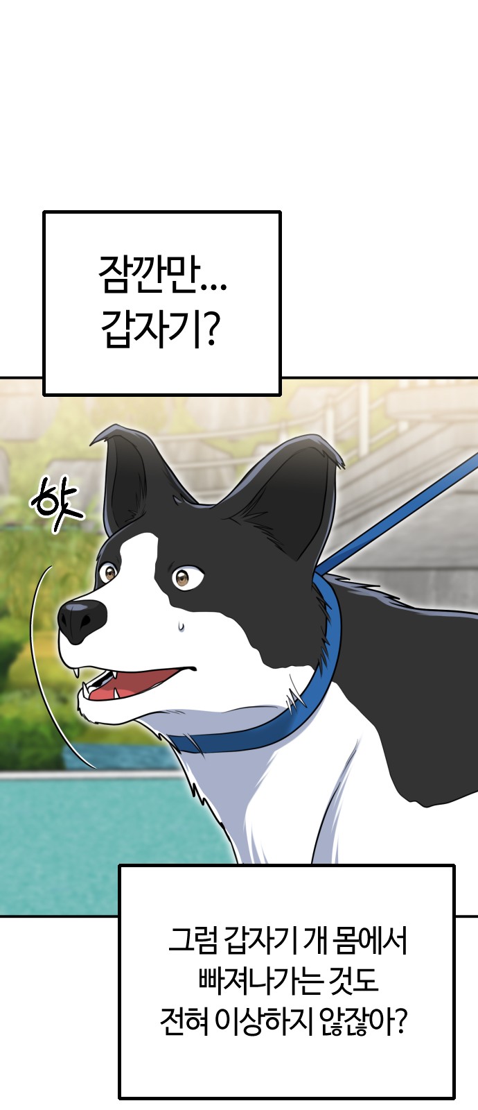 54 페이지