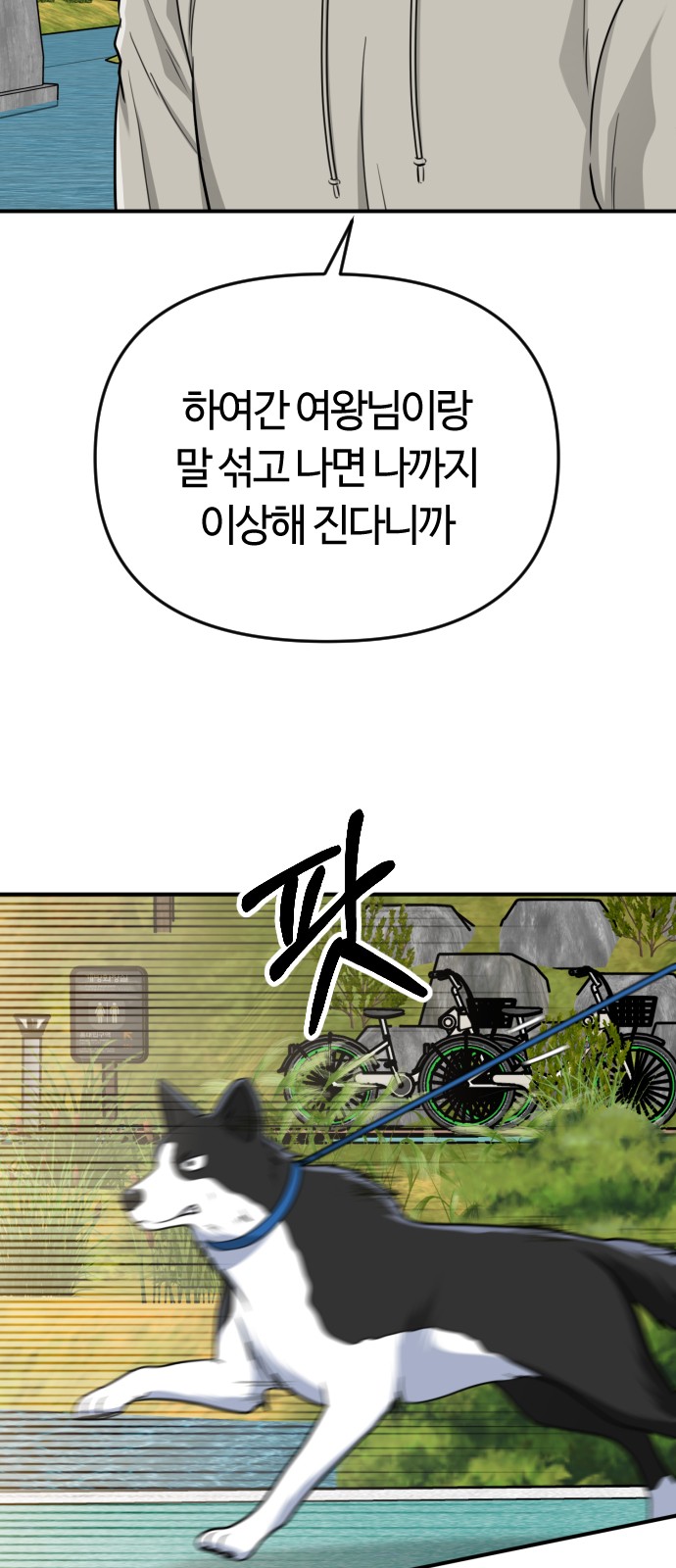 61 페이지