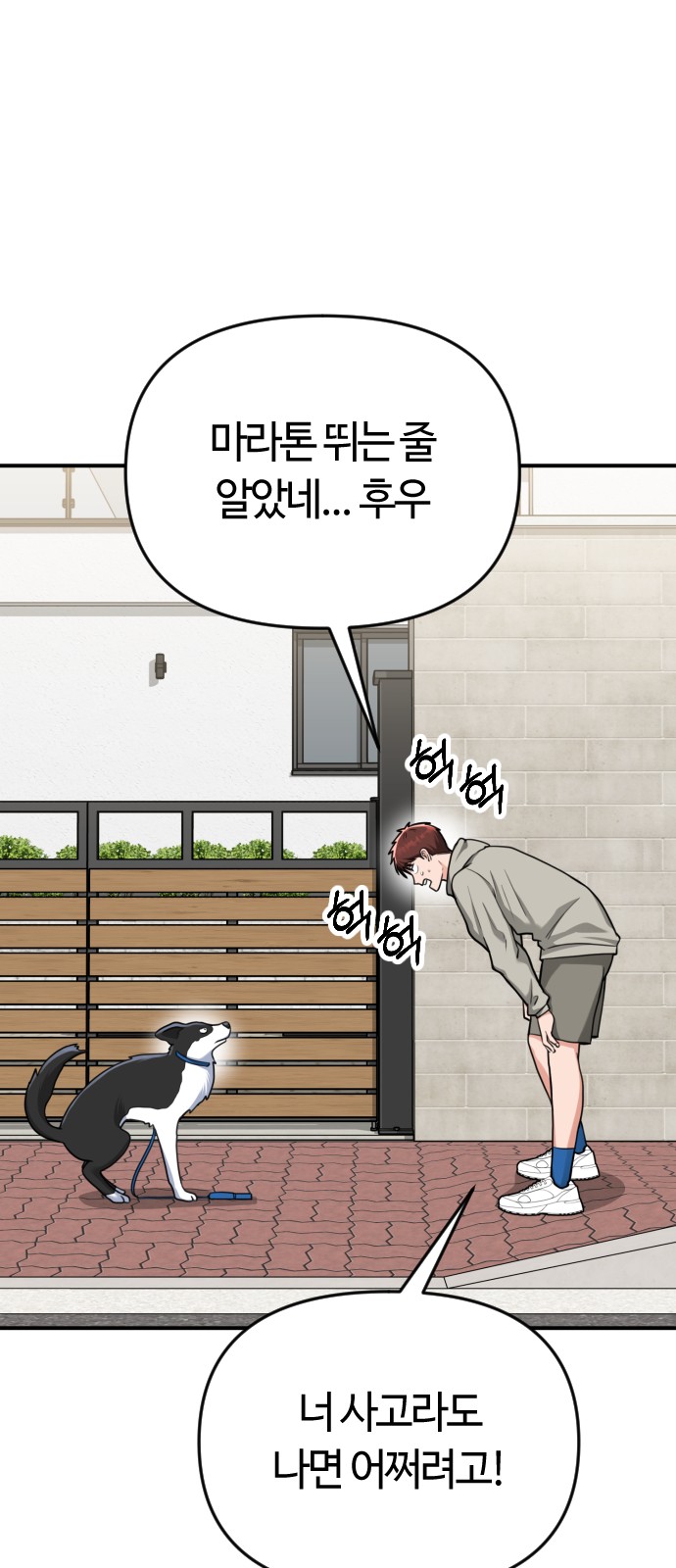 66 페이지