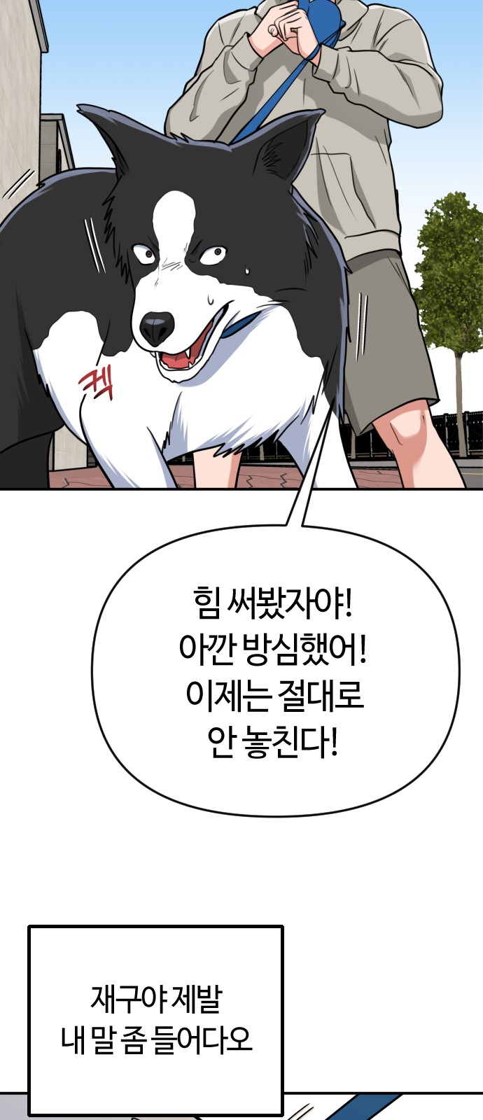 71 페이지
