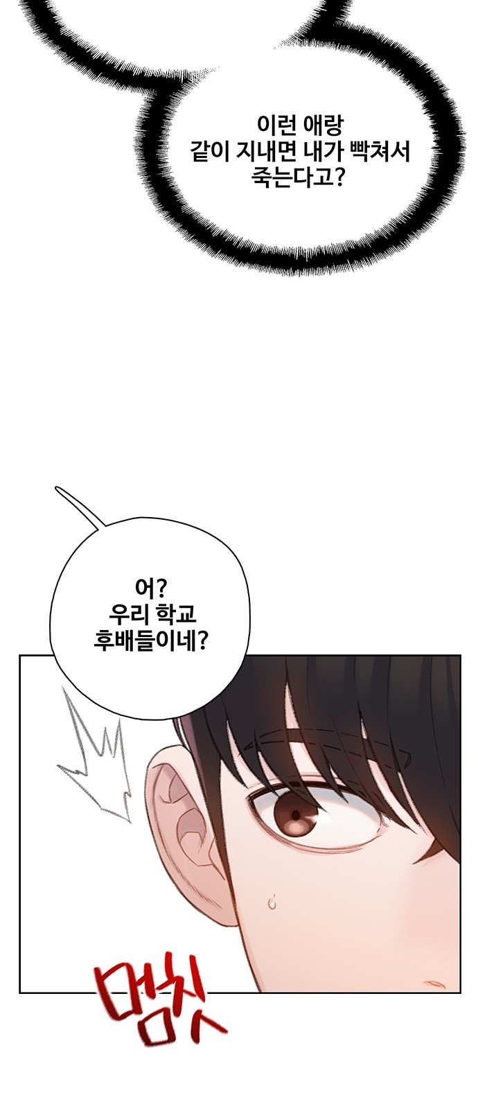 66 페이지