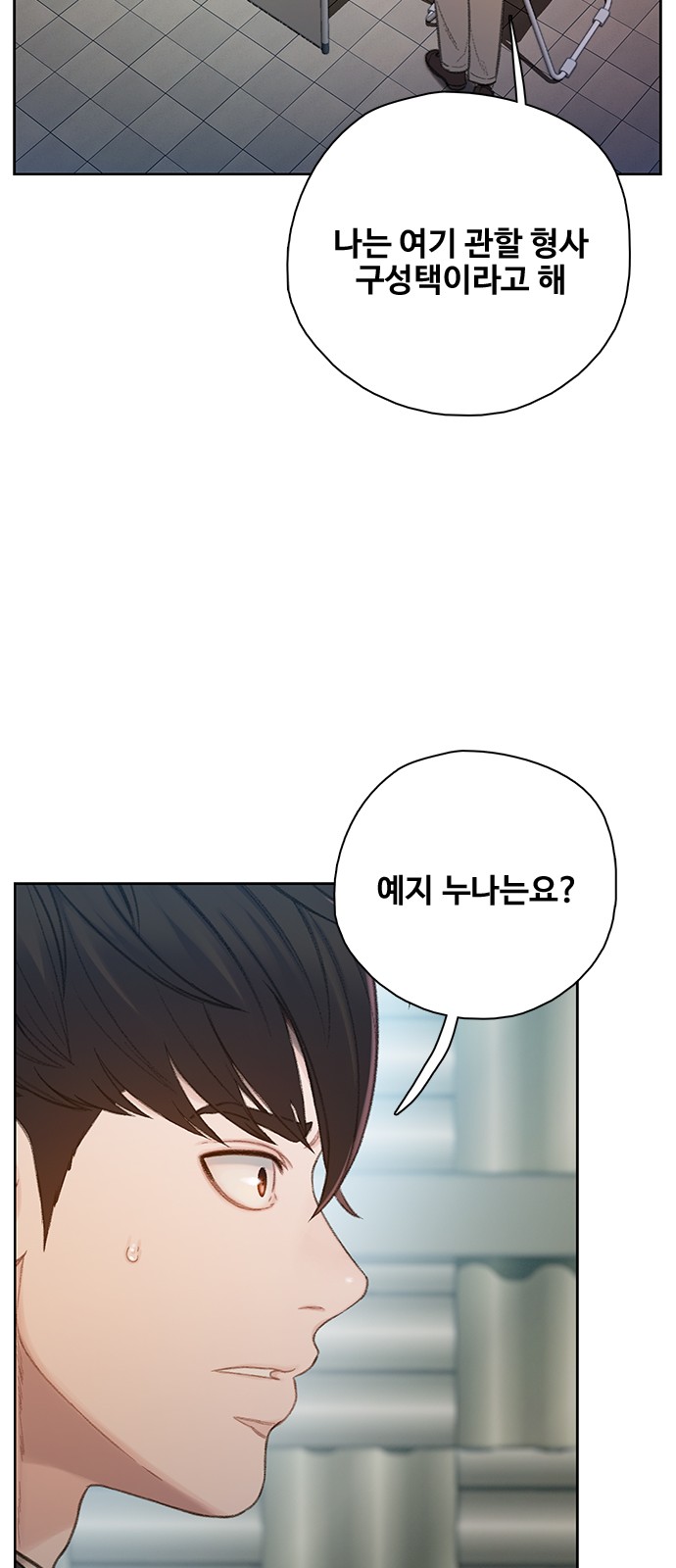 43 페이지