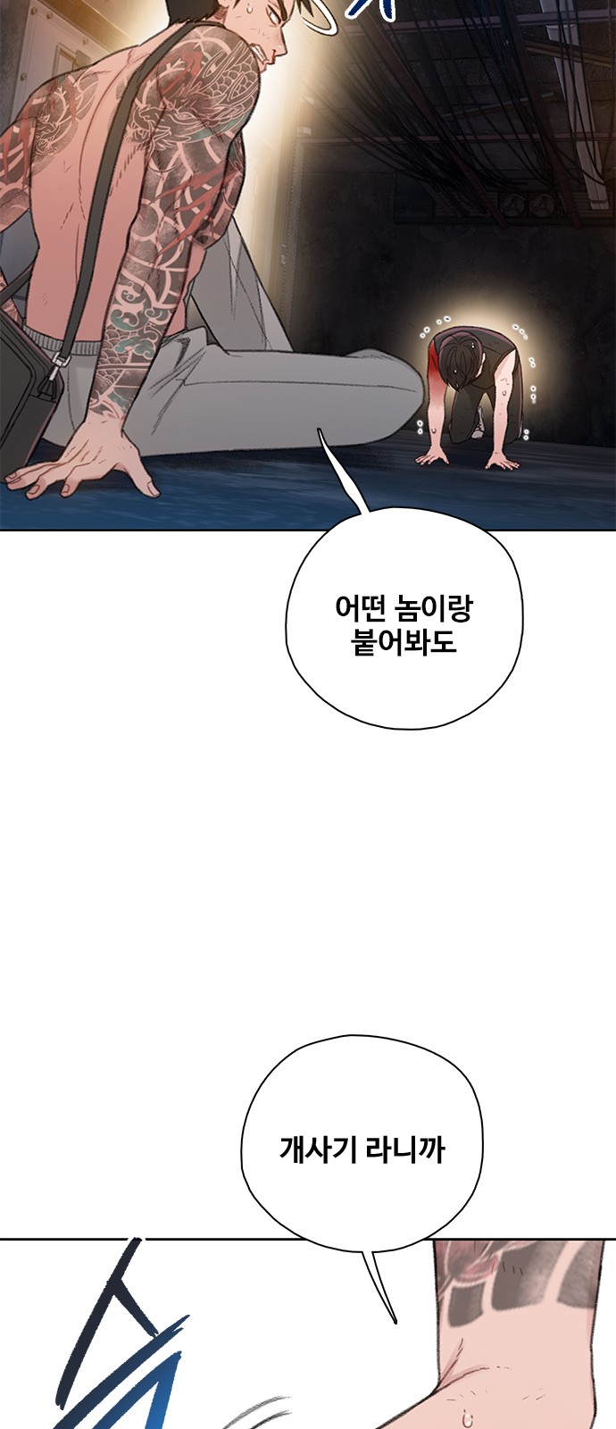 37 페이지