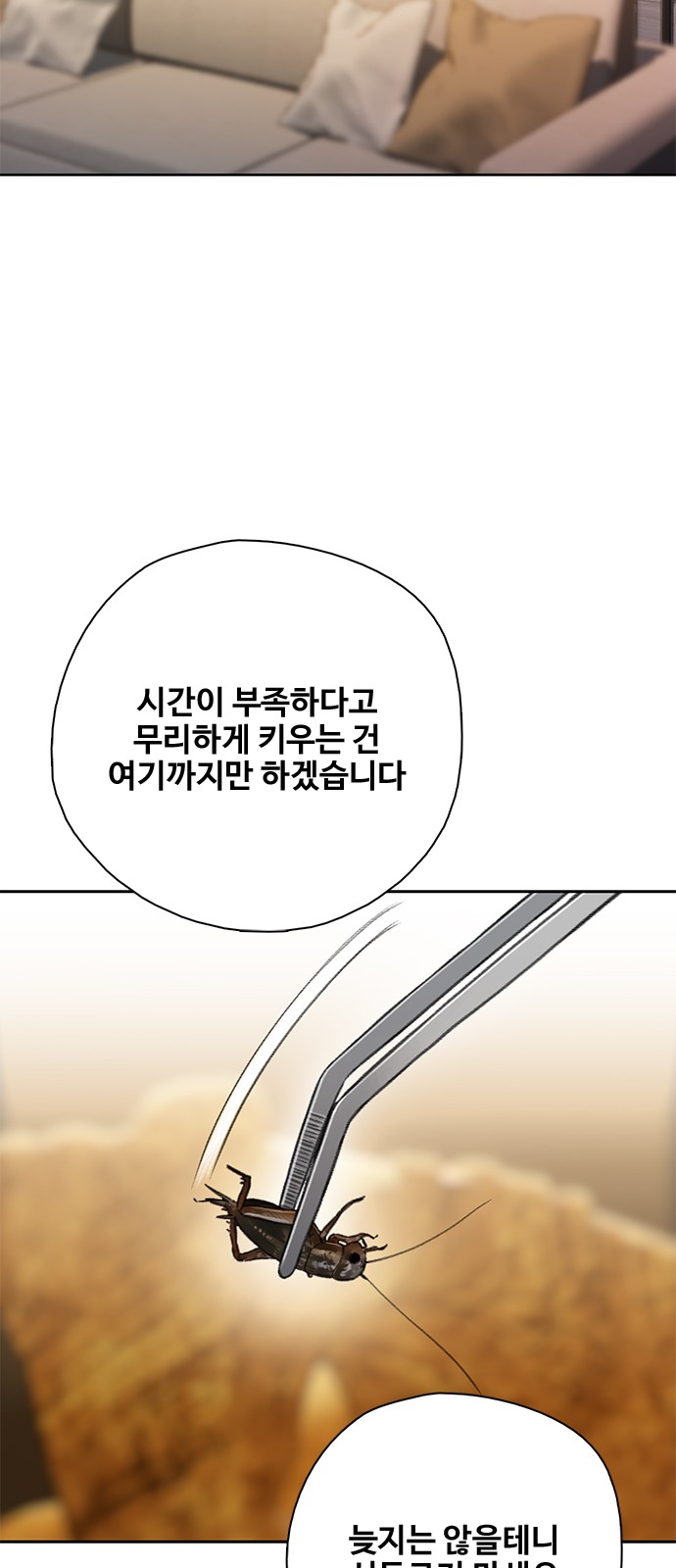 81 페이지