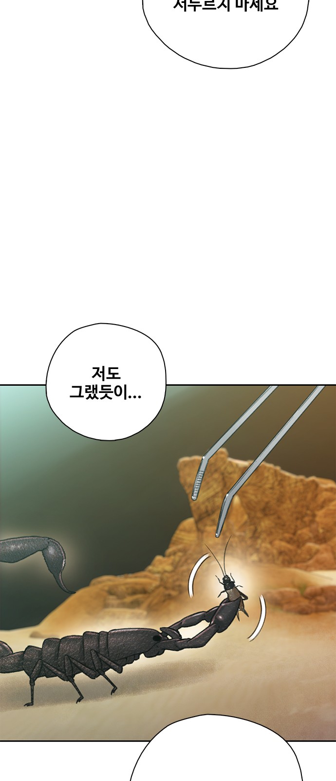82 페이지