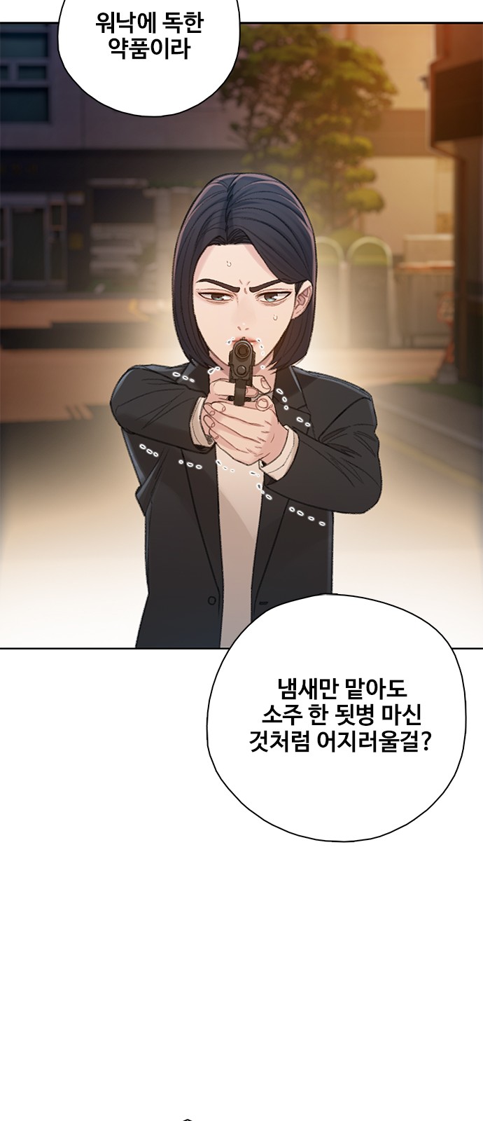 33 페이지