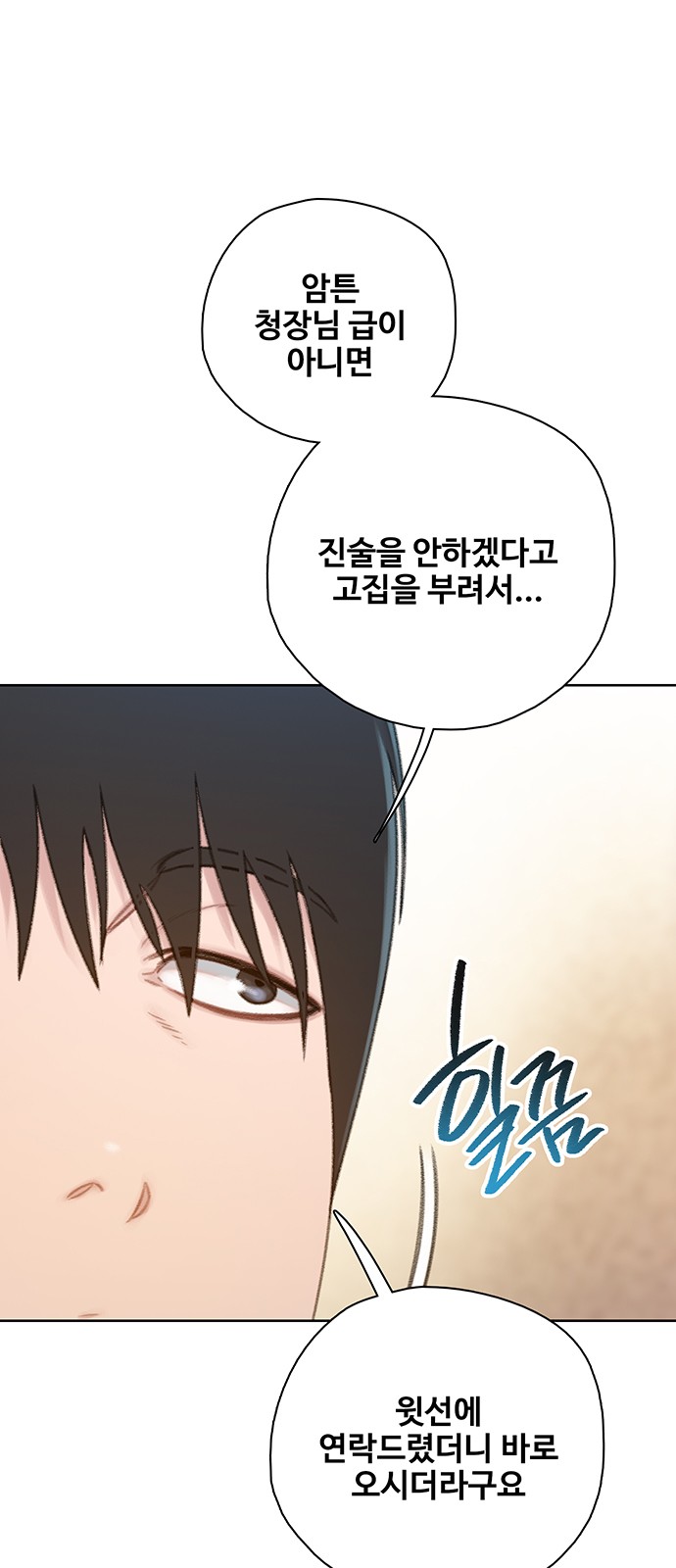 60 페이지