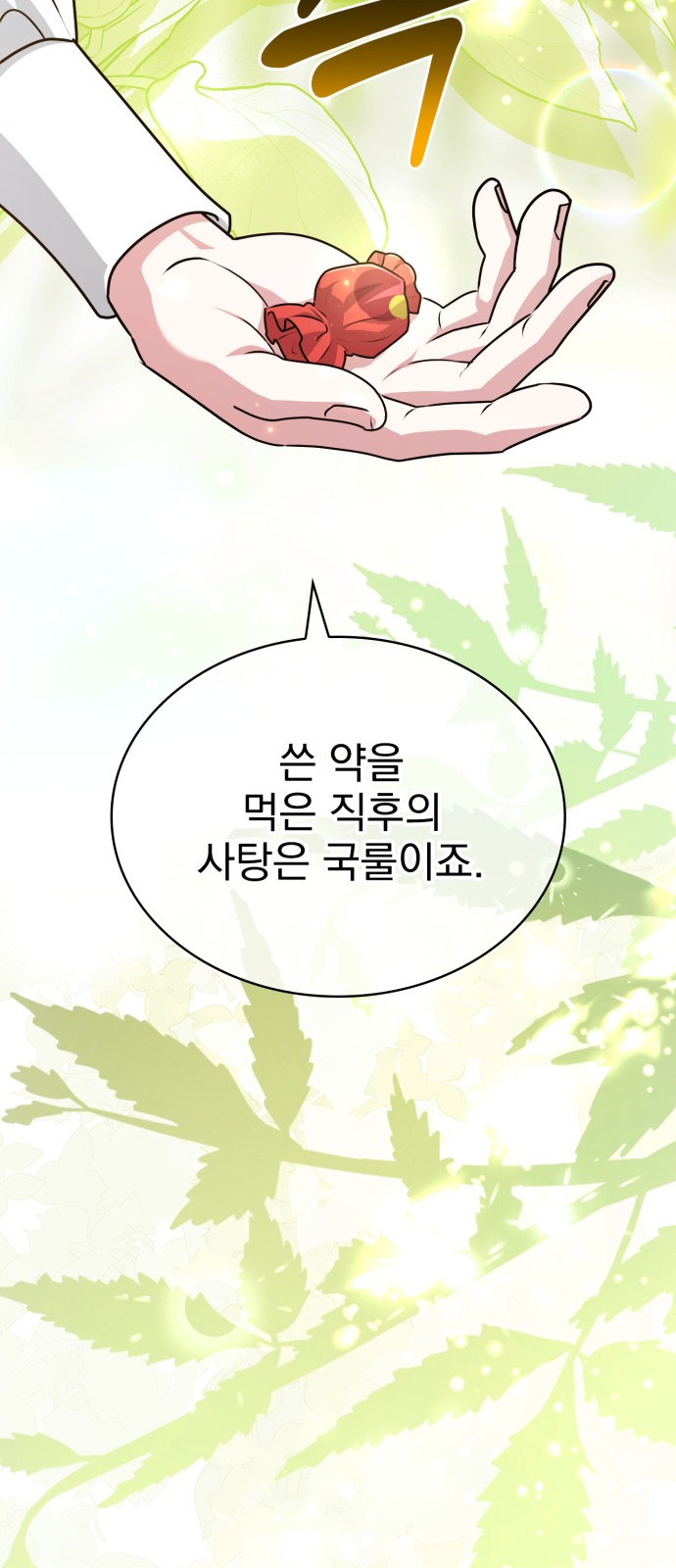 48 페이지