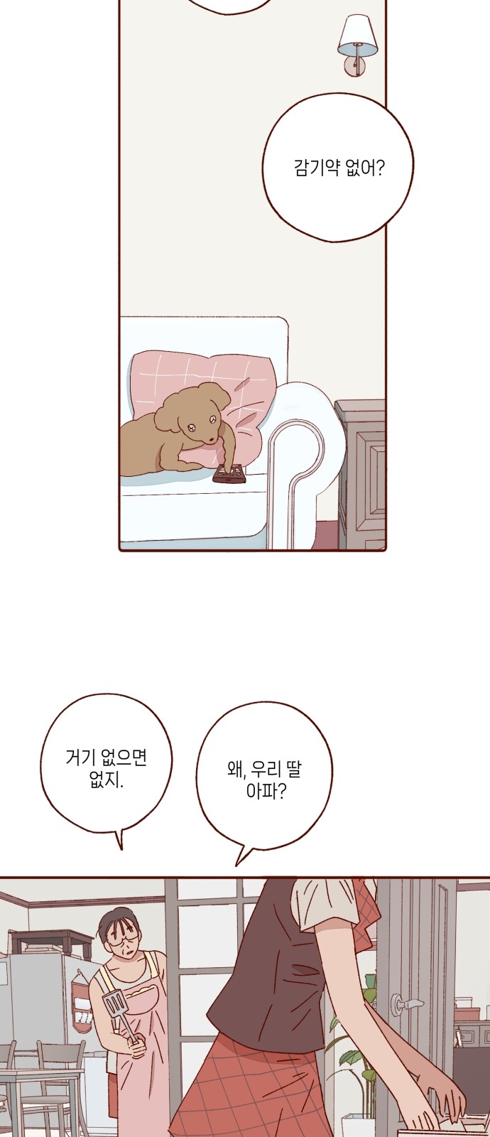 11 페이지