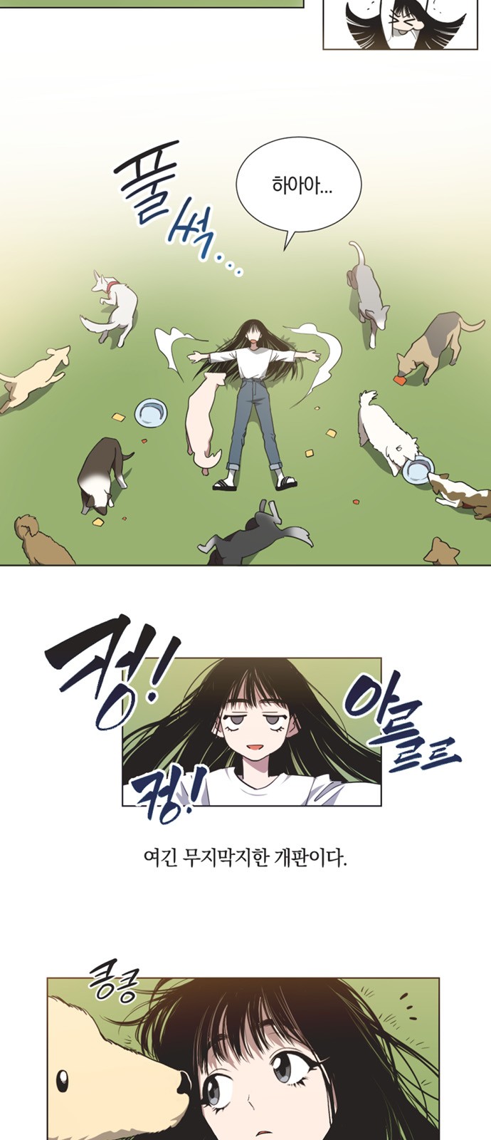 6 페이지
