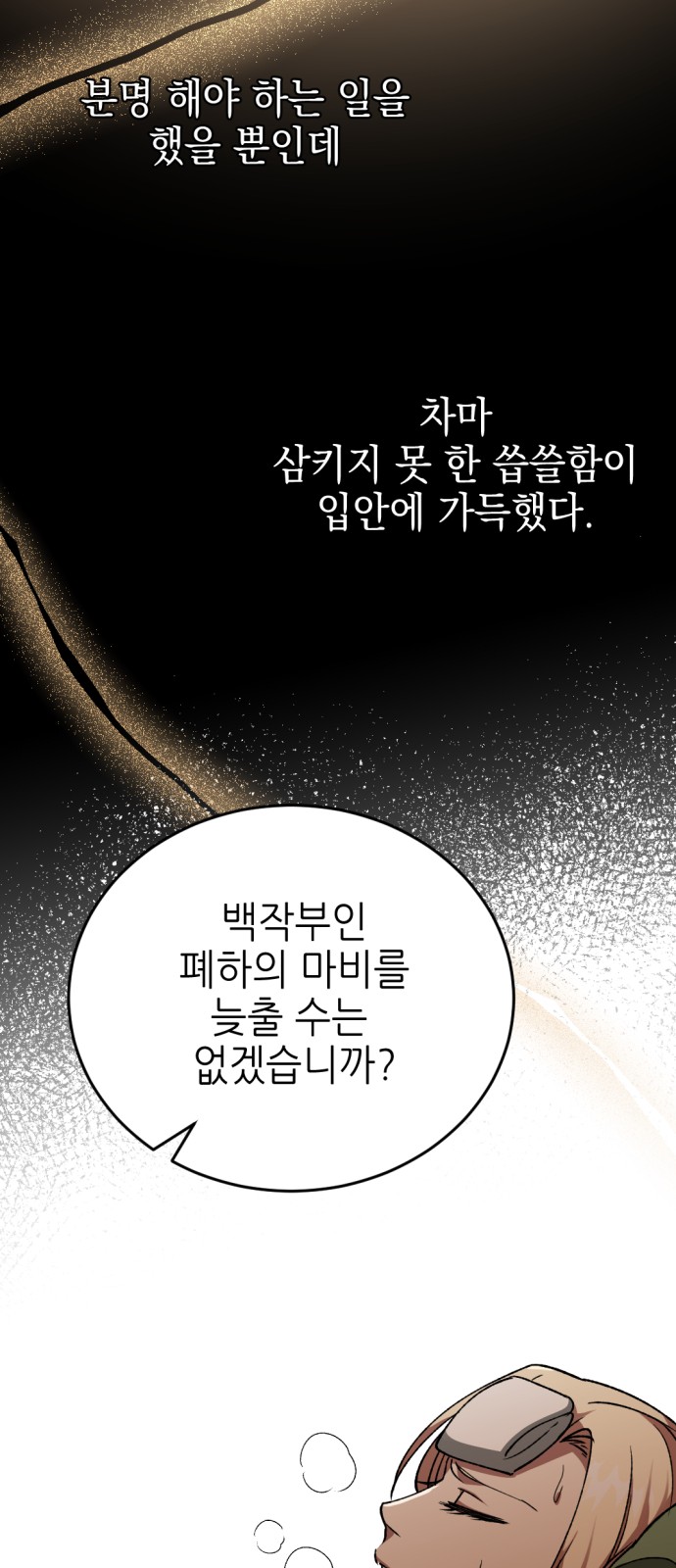 66 페이지