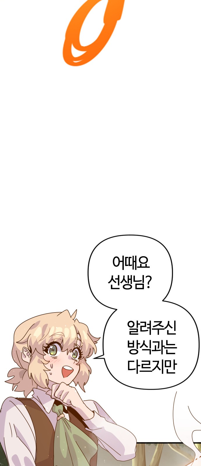 113 페이지