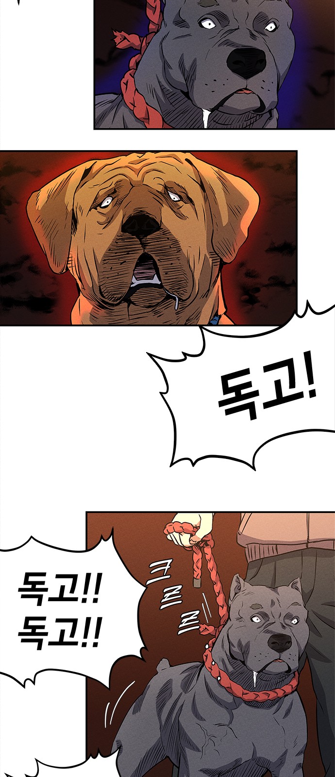 56 페이지