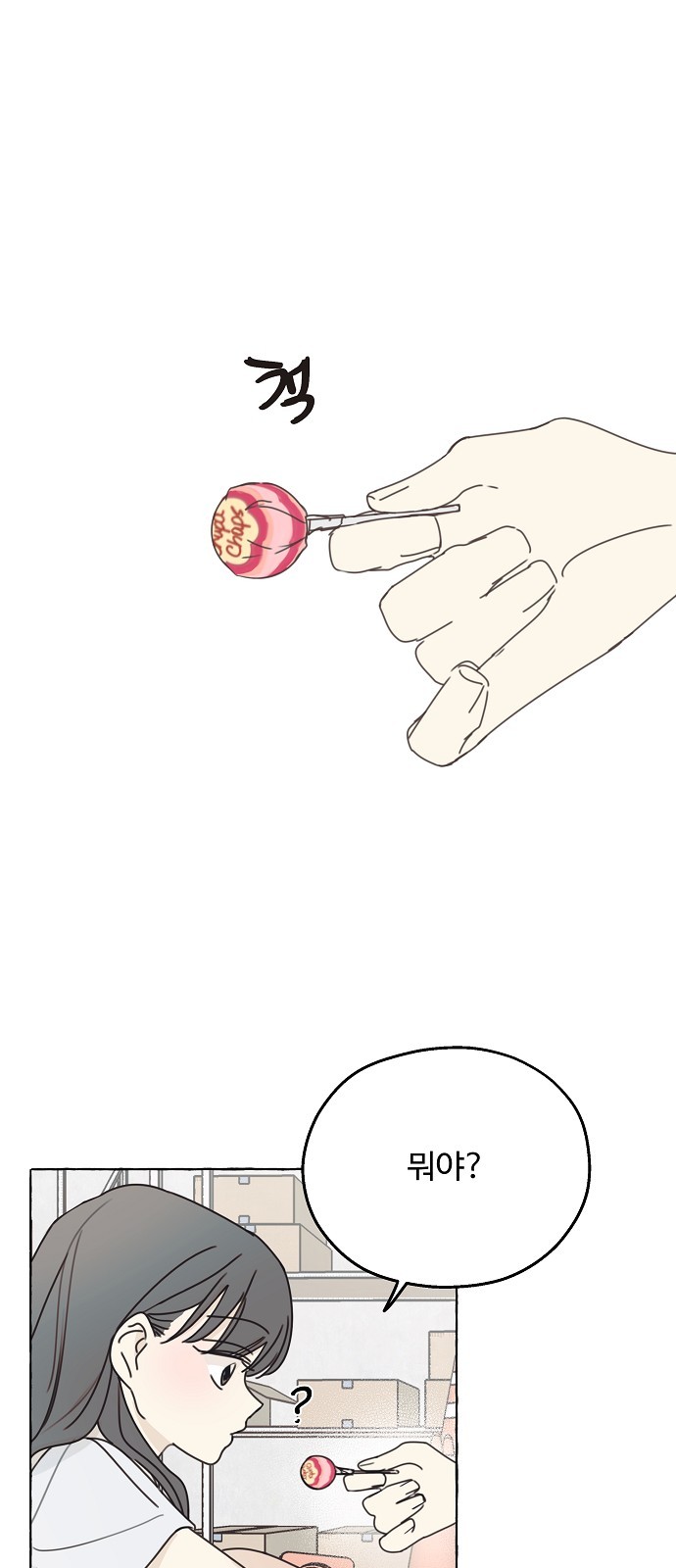 14 페이지