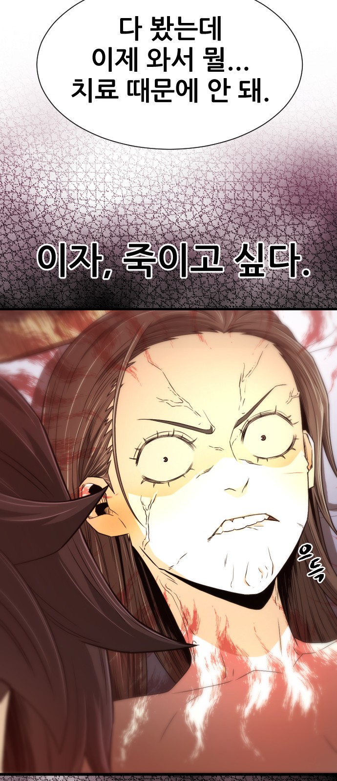66 페이지