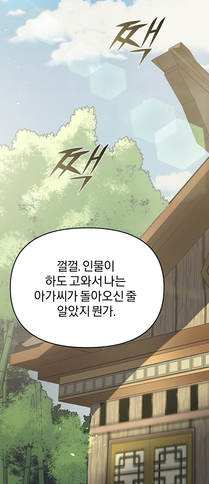 98 페이지