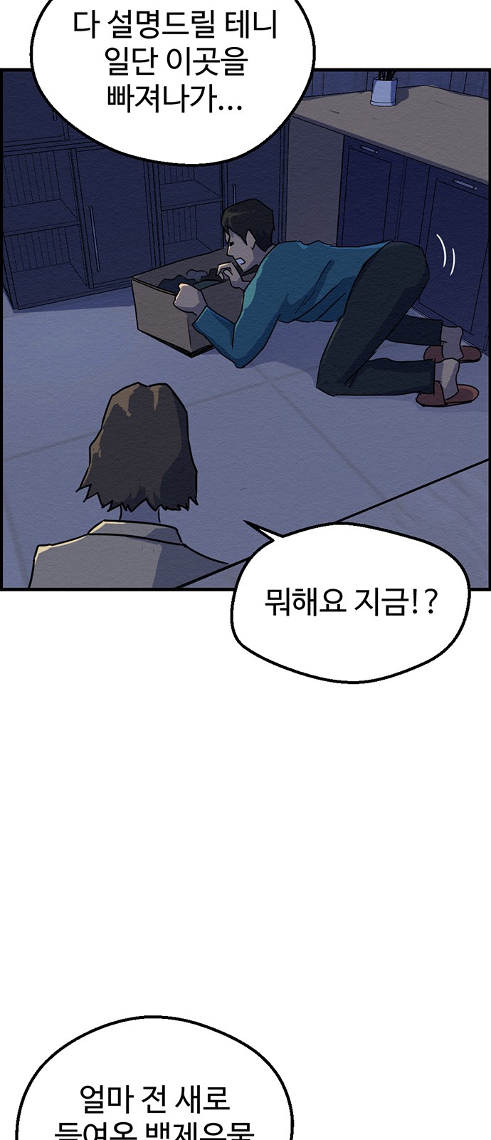 46 페이지