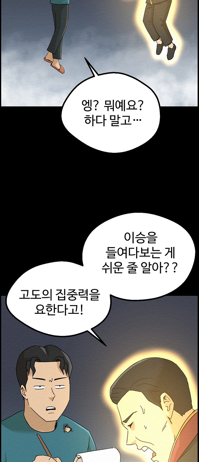 46 페이지