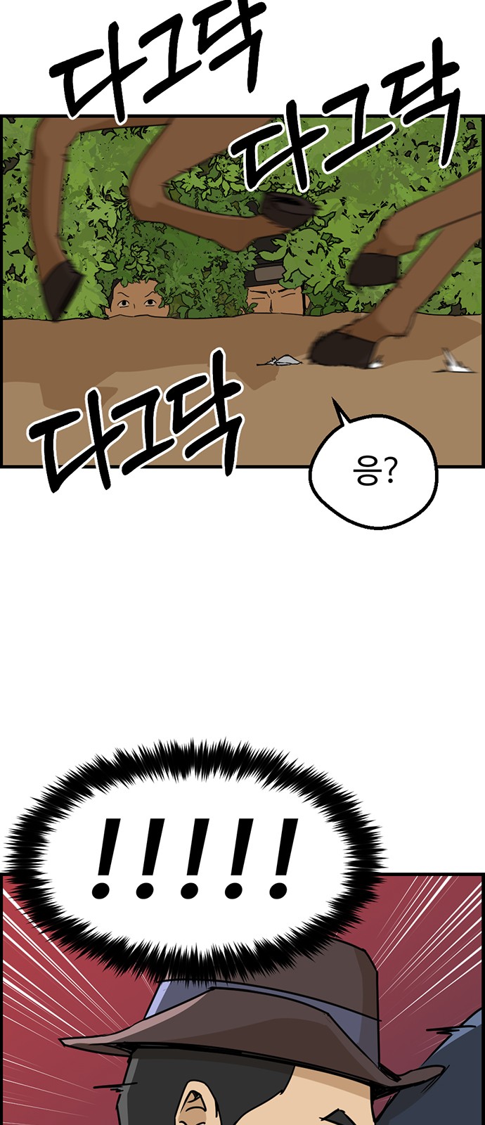 53 페이지