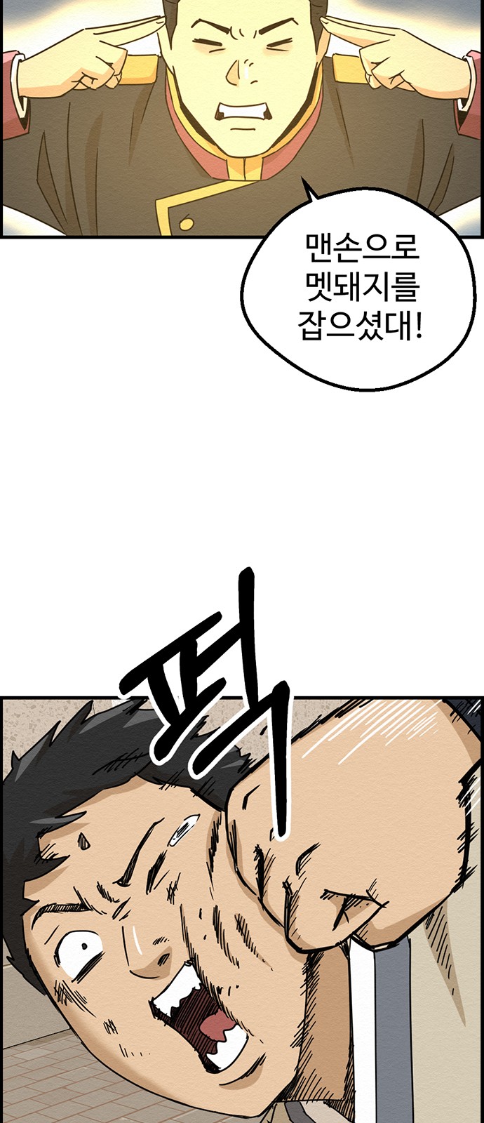 66 페이지
