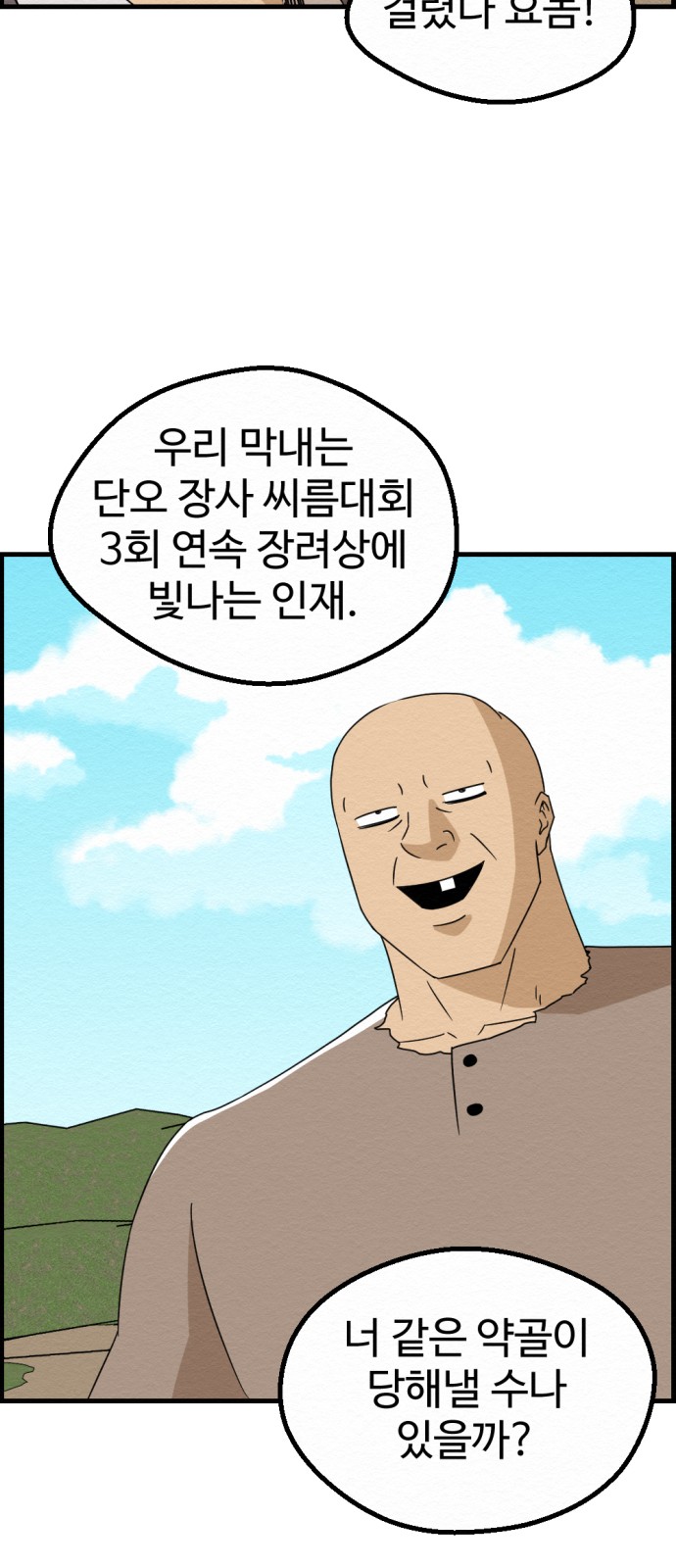 48 페이지