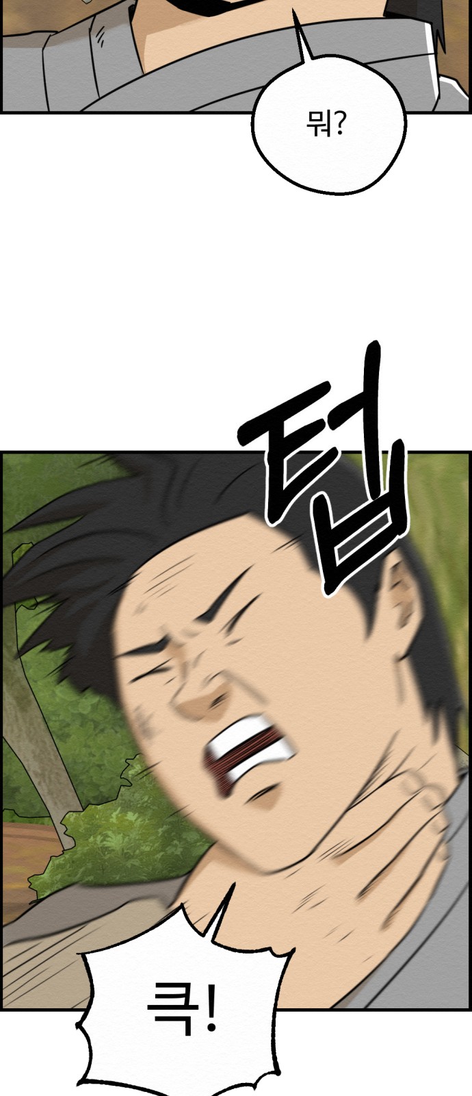 52 페이지