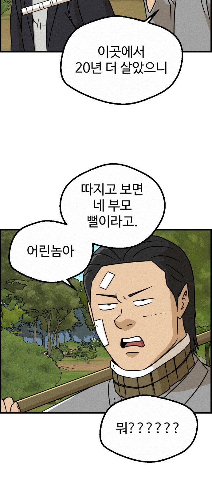 35 페이지