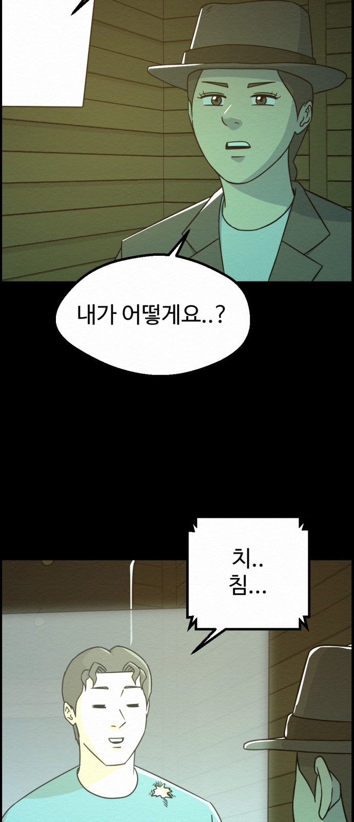 46 페이지