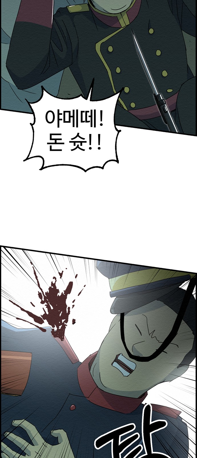 66 페이지