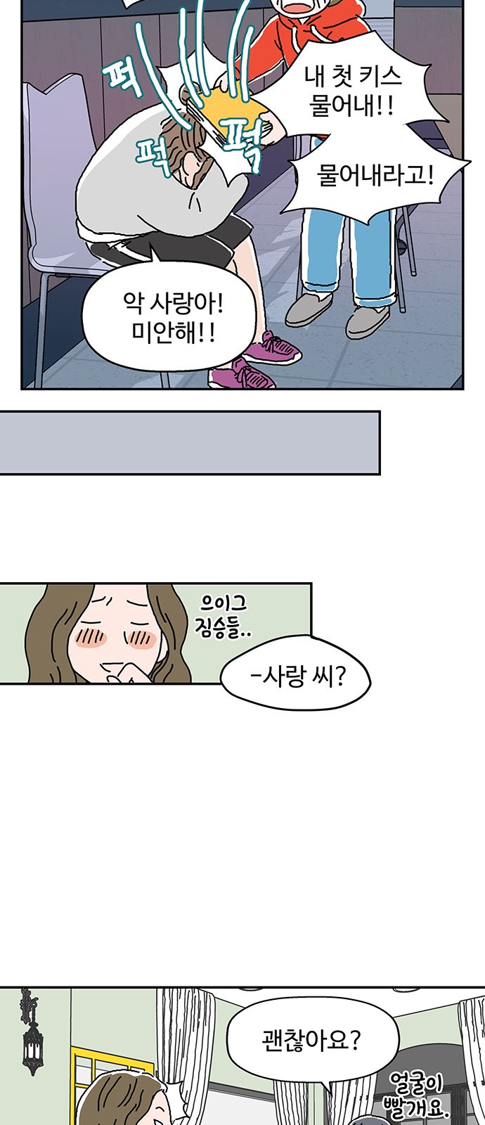 14 페이지