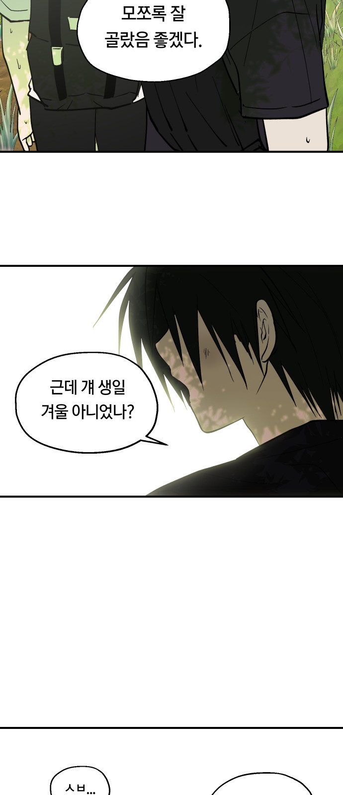 43 페이지
