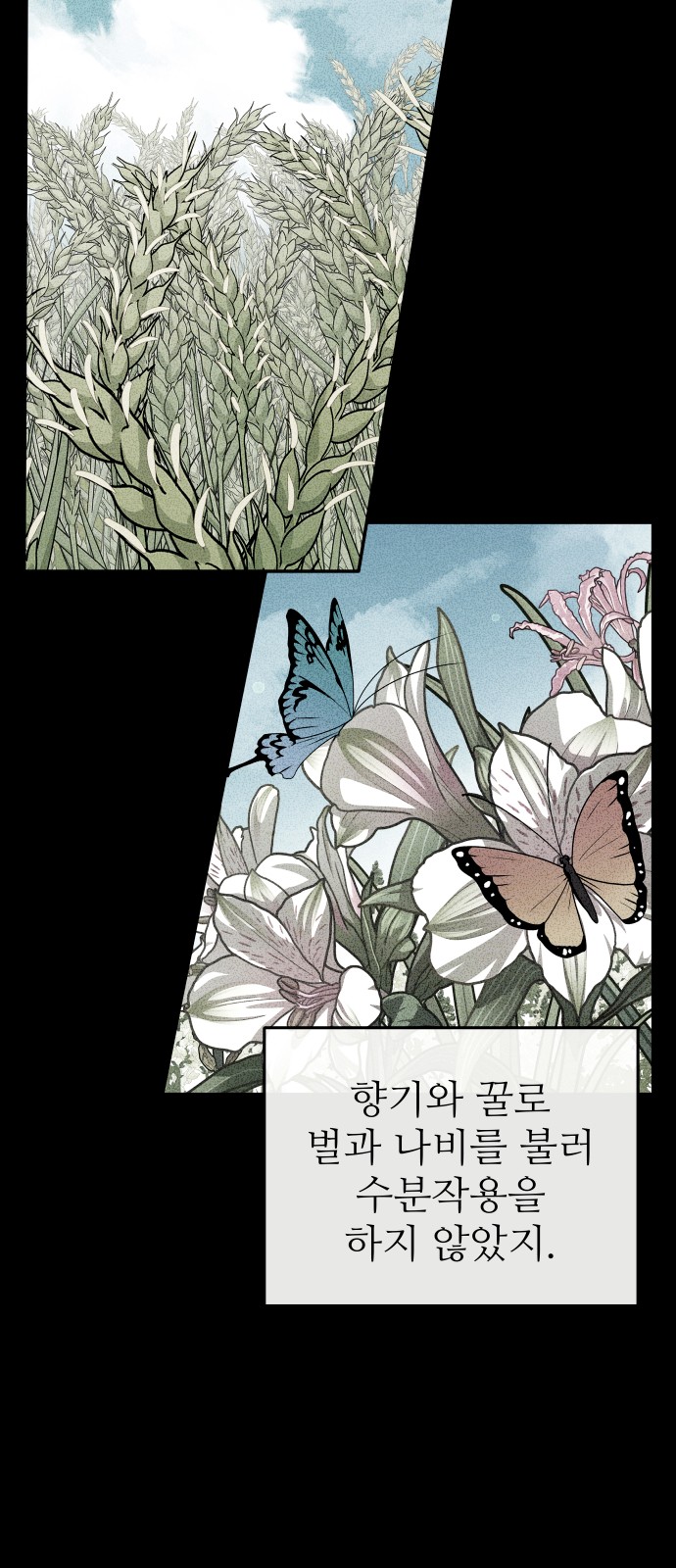 74 페이지