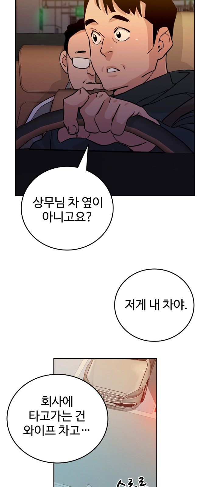 66 페이지