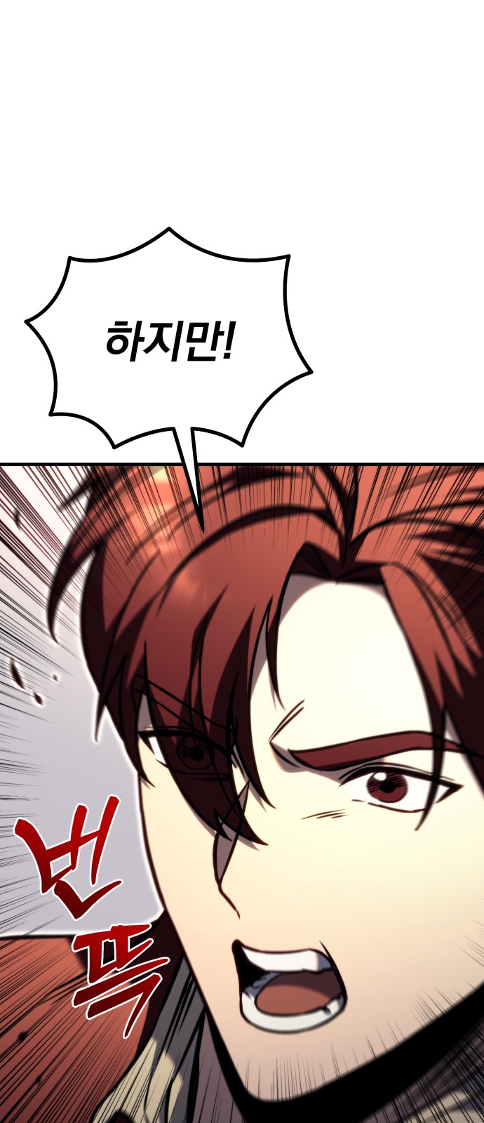 113 페이지