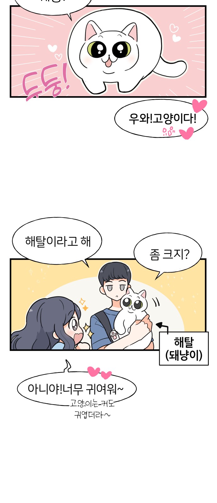 11 페이지