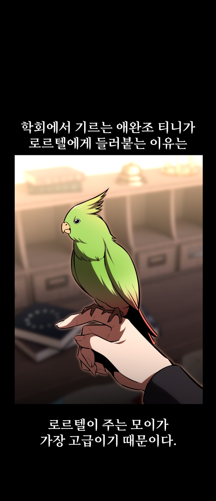 54 페이지